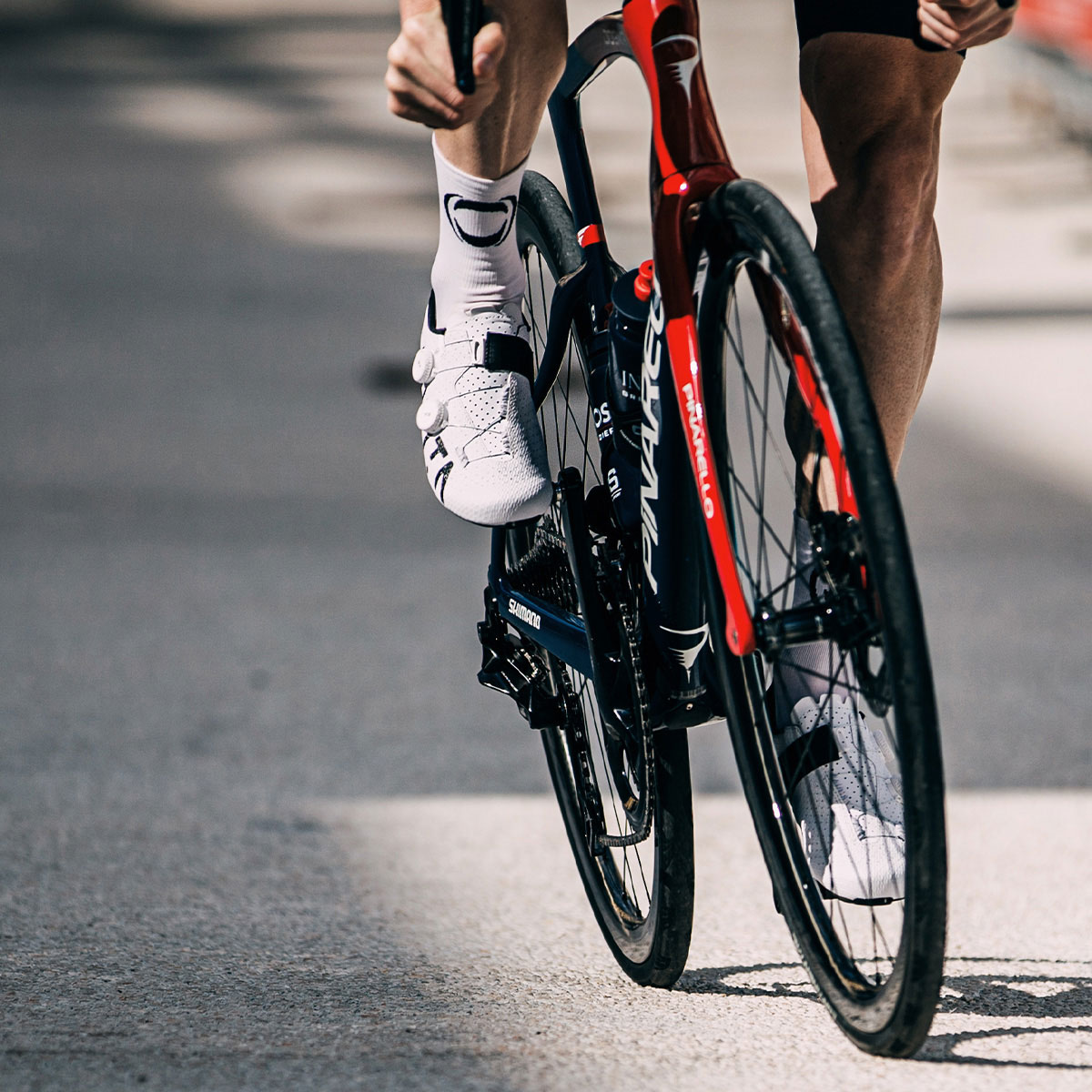 Fizik Vento Stabilita Carbon Movistar Team